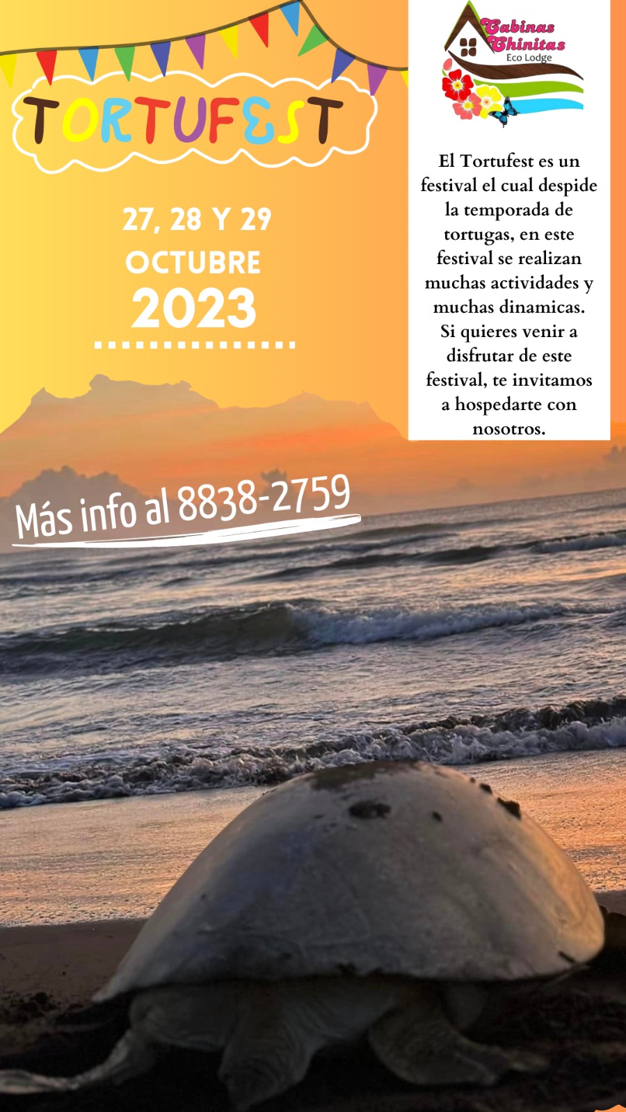 Tortufest 27-28-29 octubre