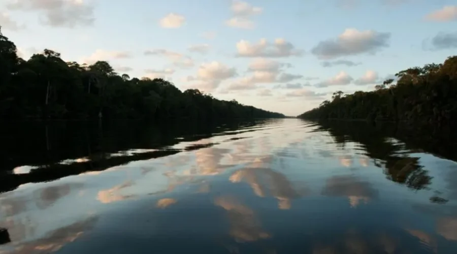Parque Nacional Tortuguero estrenará sendero universal accesible